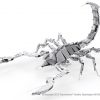 Scorpion - Image 2