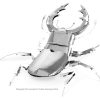 Hirschkäfer Stag Beetle - Image 2
