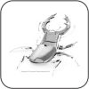 Hirschkäfer Stag Beetle