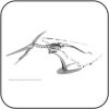 Pteranodon Skelett