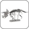Triceratops Skelett