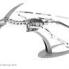 Pteranodon Skelett - Image 2
