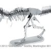 T-Rex Skelett - Image 2
