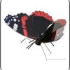 Butterfly Red Admiral