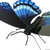 Butterfly Red Spotted Purple  - Image 2
