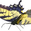 Butterfly Tiger Swallowtail - Image 2