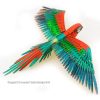 Iconx Parrot Papagei - Image 3