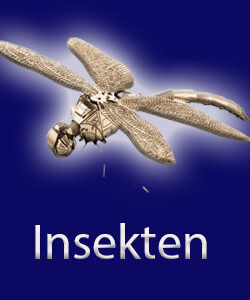 Insekten