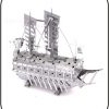 Dschunke Turtle Ship