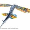 Skimwing Avatar - Image 4