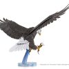 Weißkopfseeadler Premium - Image 3