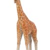 Giraffe  - Image 6