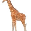 Giraffe  - Image 5