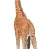 Giraffe  - Image 4