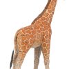 Giraffe  - Image 3