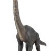 Brachiosaurus - Image 6