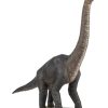Brachiosaurus - Image 2
