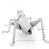 Grasshopper - Image 4