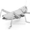 Grasshopper - Image 3