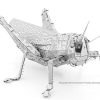 Grasshopper - Image 2