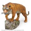 Bengalischer Tiger - Image 6