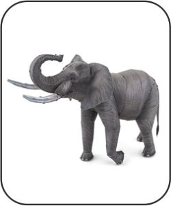 Elefant