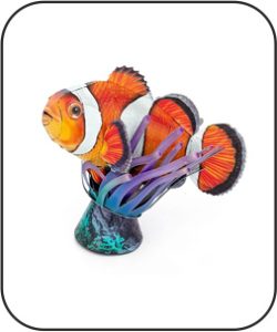 Clownfish