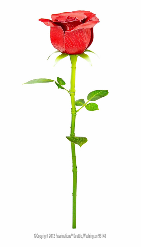 Red Rose – Bild 4