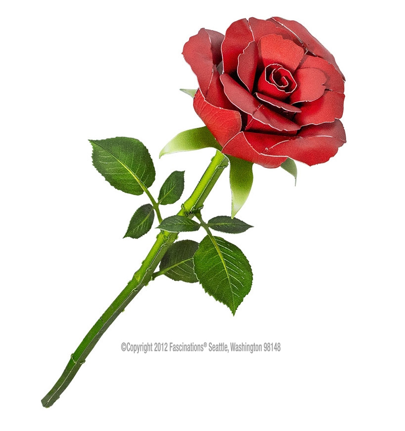 Red Rose – Bild 3