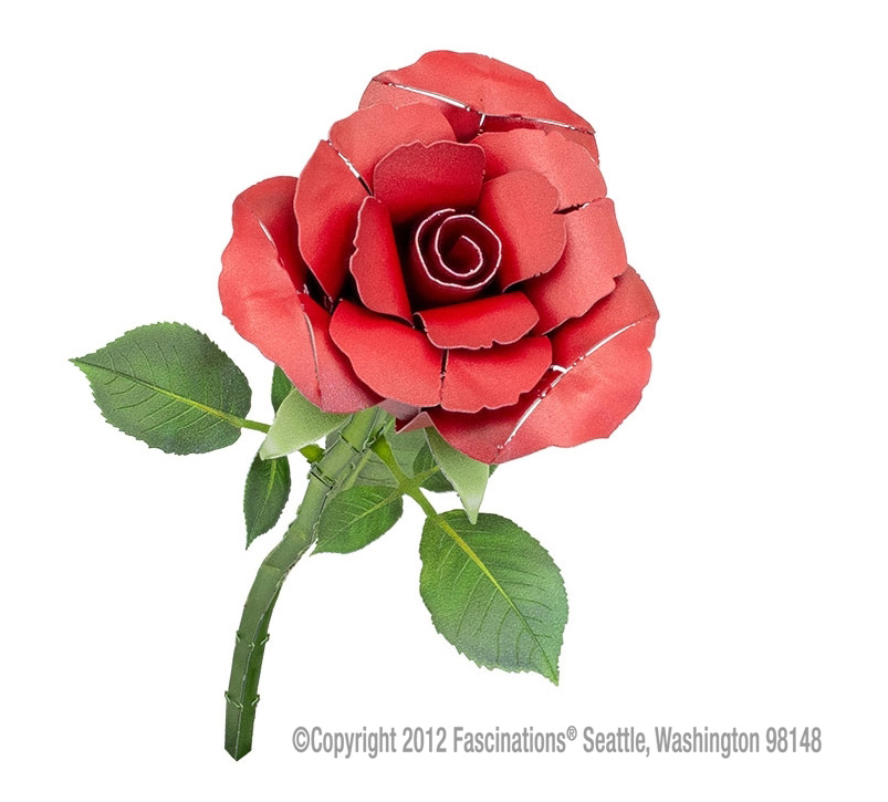 Red Rose – Bild 2